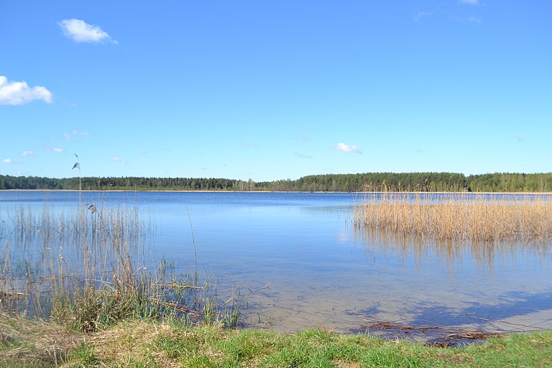 Национальный парк мещера фото