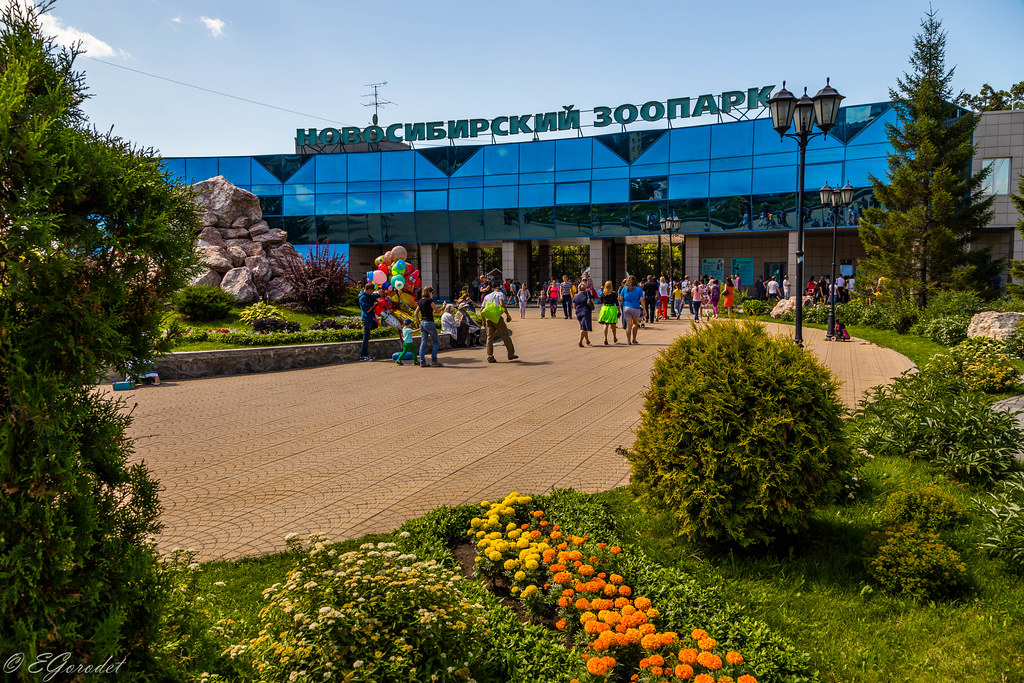 Зоопарк новосибирск цены на 2024. Зоопарк Новосибирск. Новосибирский зоопарк Новосибирская область. Зоологический парк Новосибирск.