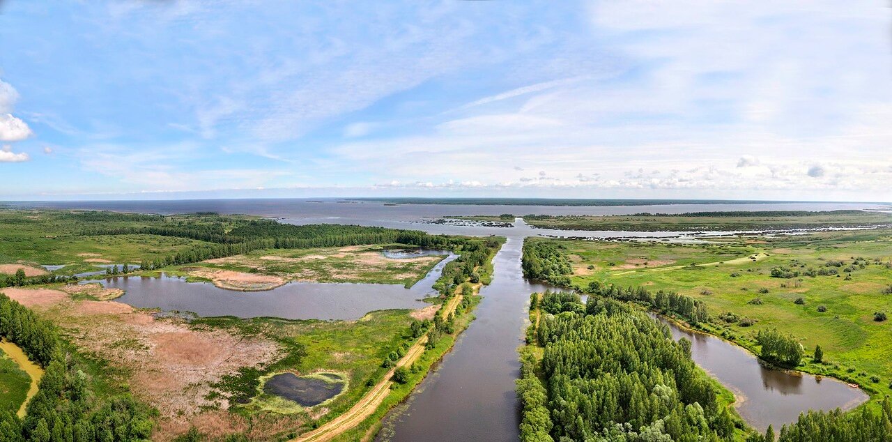 Борок - академгородок, расположенный в Ярославской области